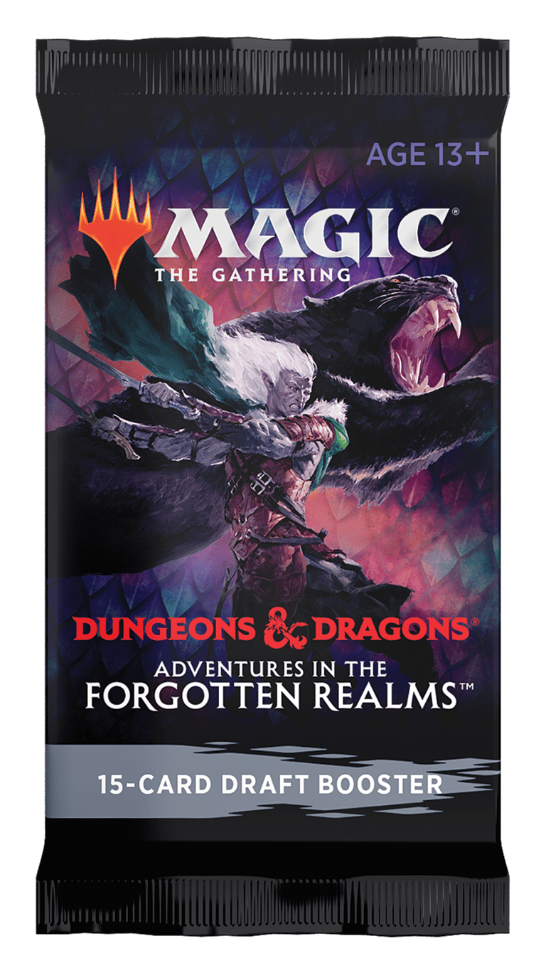 Adventures in the Forgotten Realms Gift Bundle